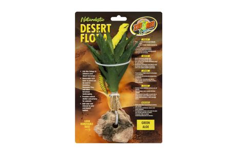 Naturalistic Desert Flora - Green Aloe Vera