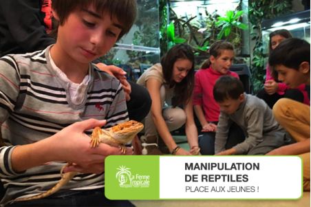 Manipulation de reptiles : place aux jeunes ! - Dimanche 27 février 2022