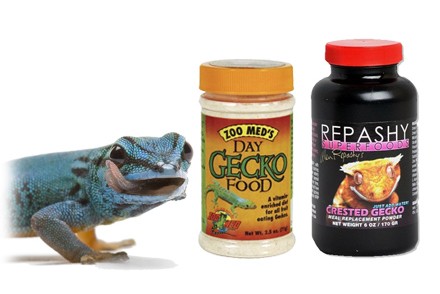 Nourriture pour Gecko - Alimentation pour Gecko- La Ferme Tropicale